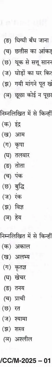 BPSC CCE General Hindi question paper page 1 scan showing exam instructions, essay writing topics like National Education Policy 2020, AI, unemployment, and passage summarization section. PDF download.