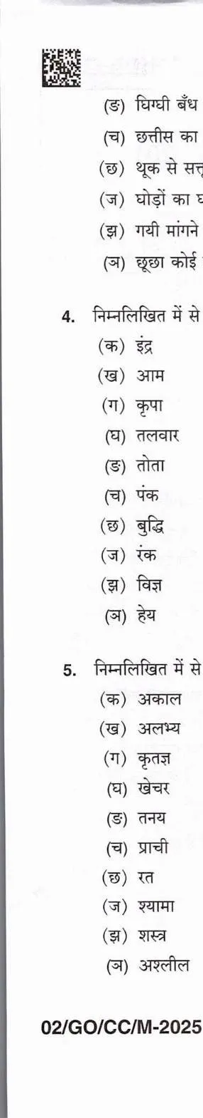BPSC CCE General Hindi question paper 2025 page 1 scan showing exam header, instructions, and essay writing questions. Download PDF.