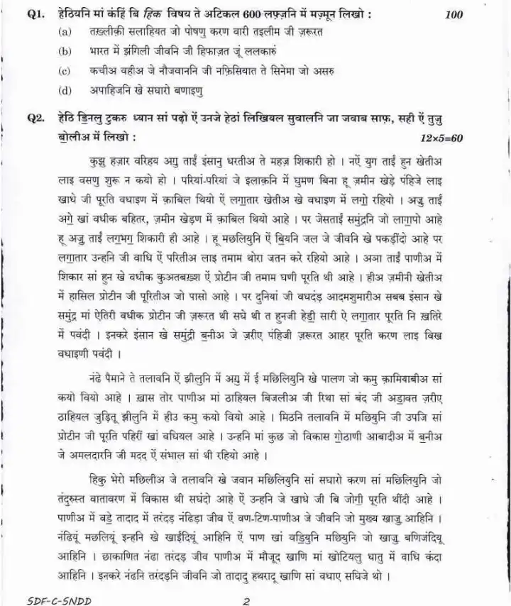 UPSC Civil Services Main 2019 Sindhi Compulsory (Devanagari Script) question paper page 1 instructions scan PDF download